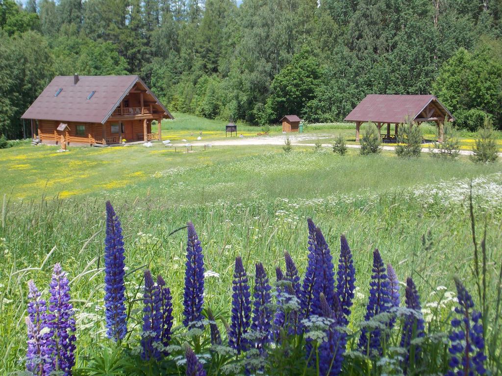 Guest House Kalnini Kārļi Exterior foto