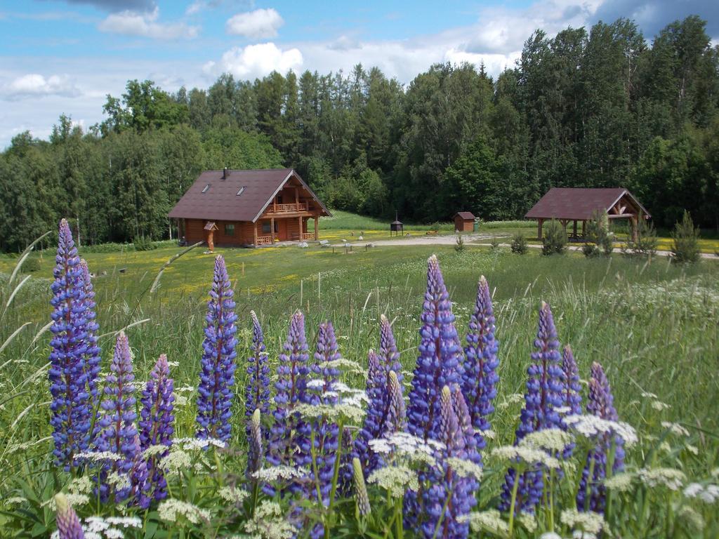 Guest House Kalnini Kārļi Exterior foto